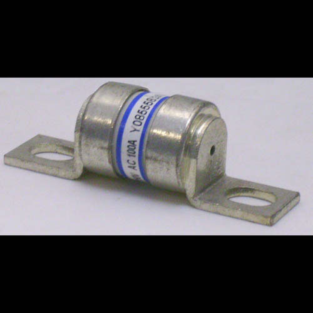 PROTISTOR 100A/250VAC--18X25,4X42,8MM