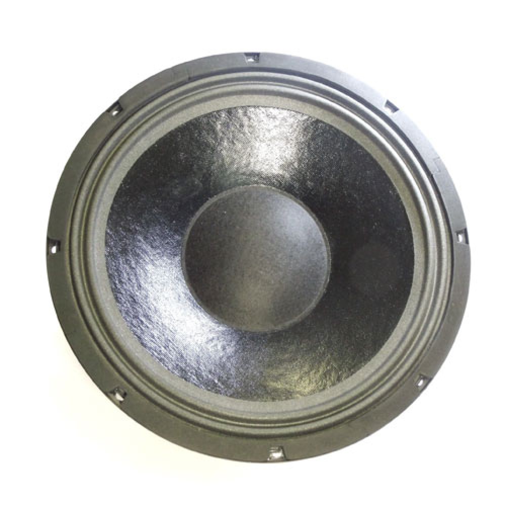 HAUT-PARLEUR 4 OHMS 100WATTS RMS 255MM