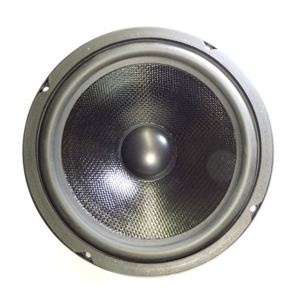 HAUT-PARLEUR 2X8 OHMS 2X150W  255MM