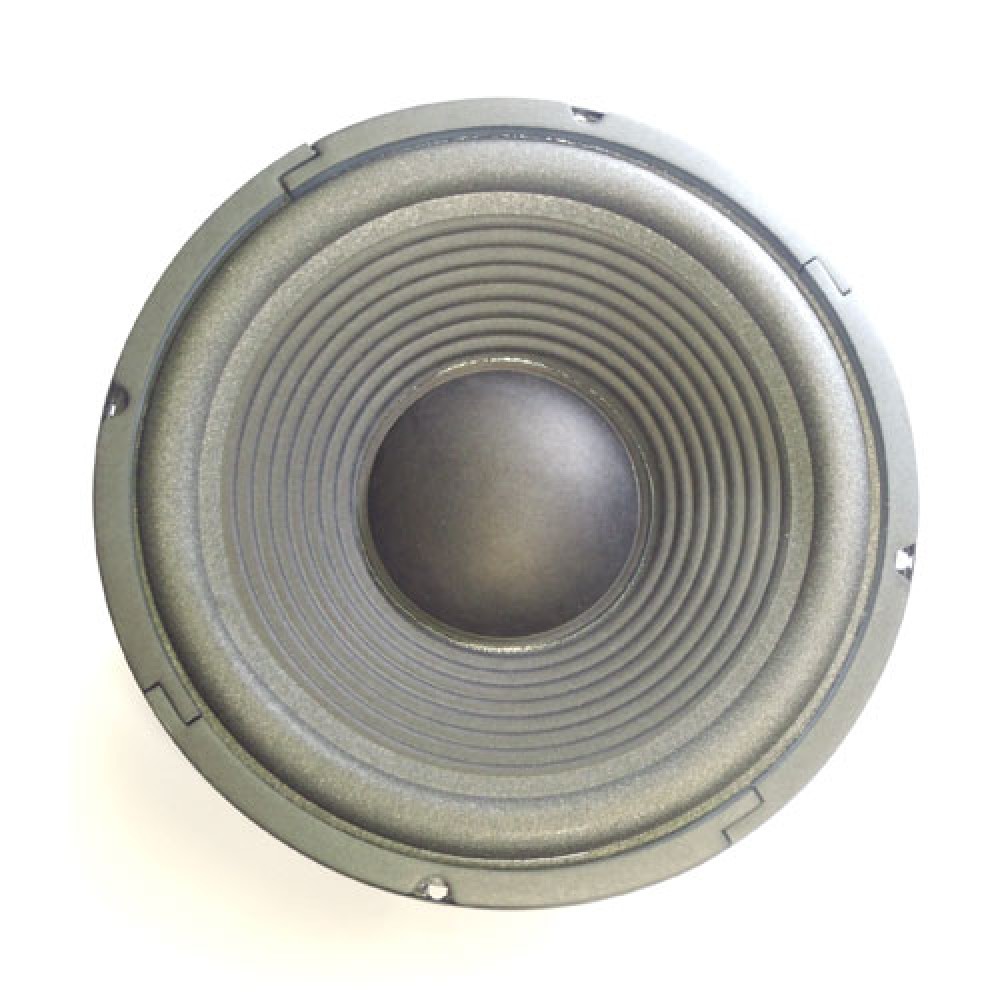 HAUT-PARLEUR 8 OHMS-100W RMS  255MM