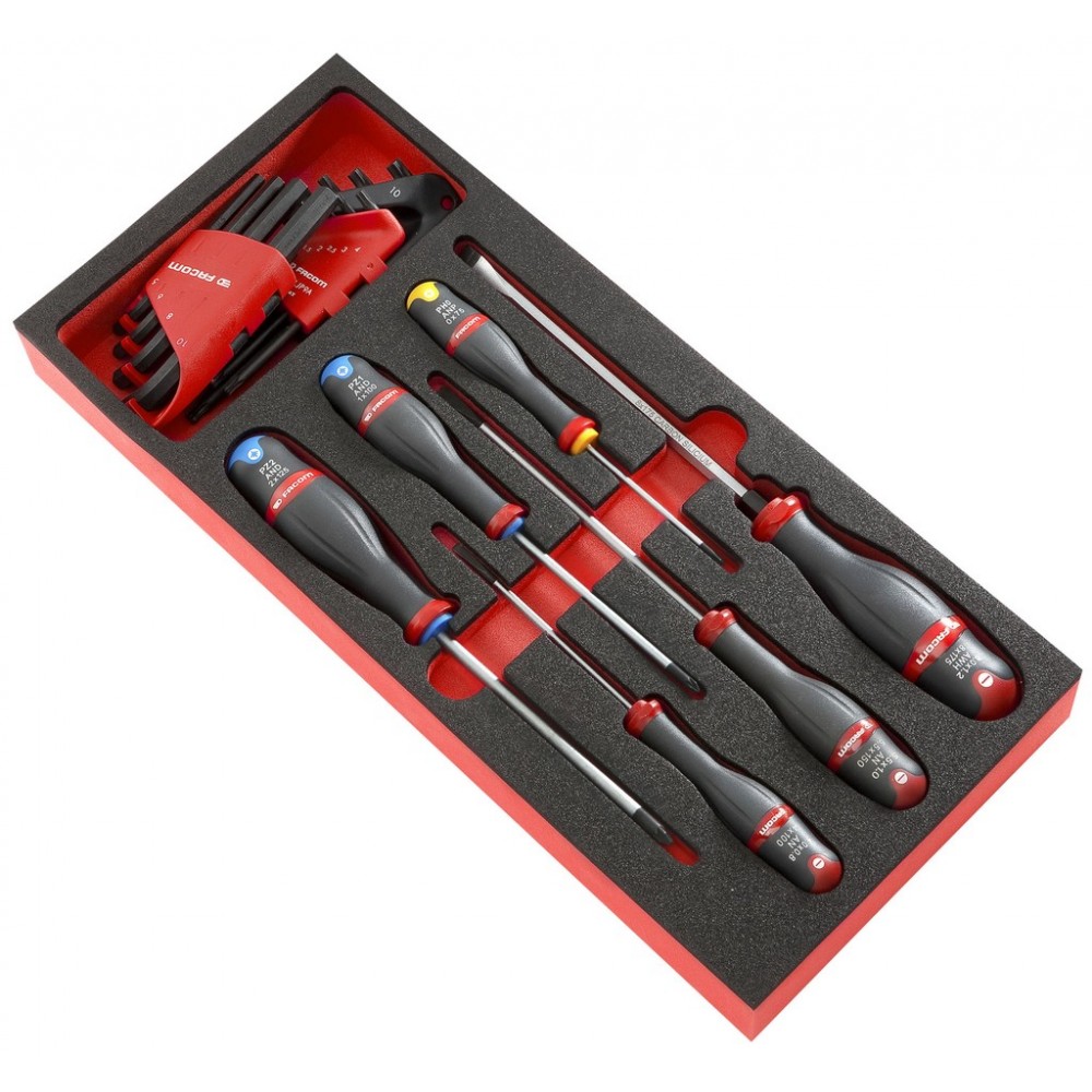 6 TOURNEVIS AVEC CLES HEX ET TORX
