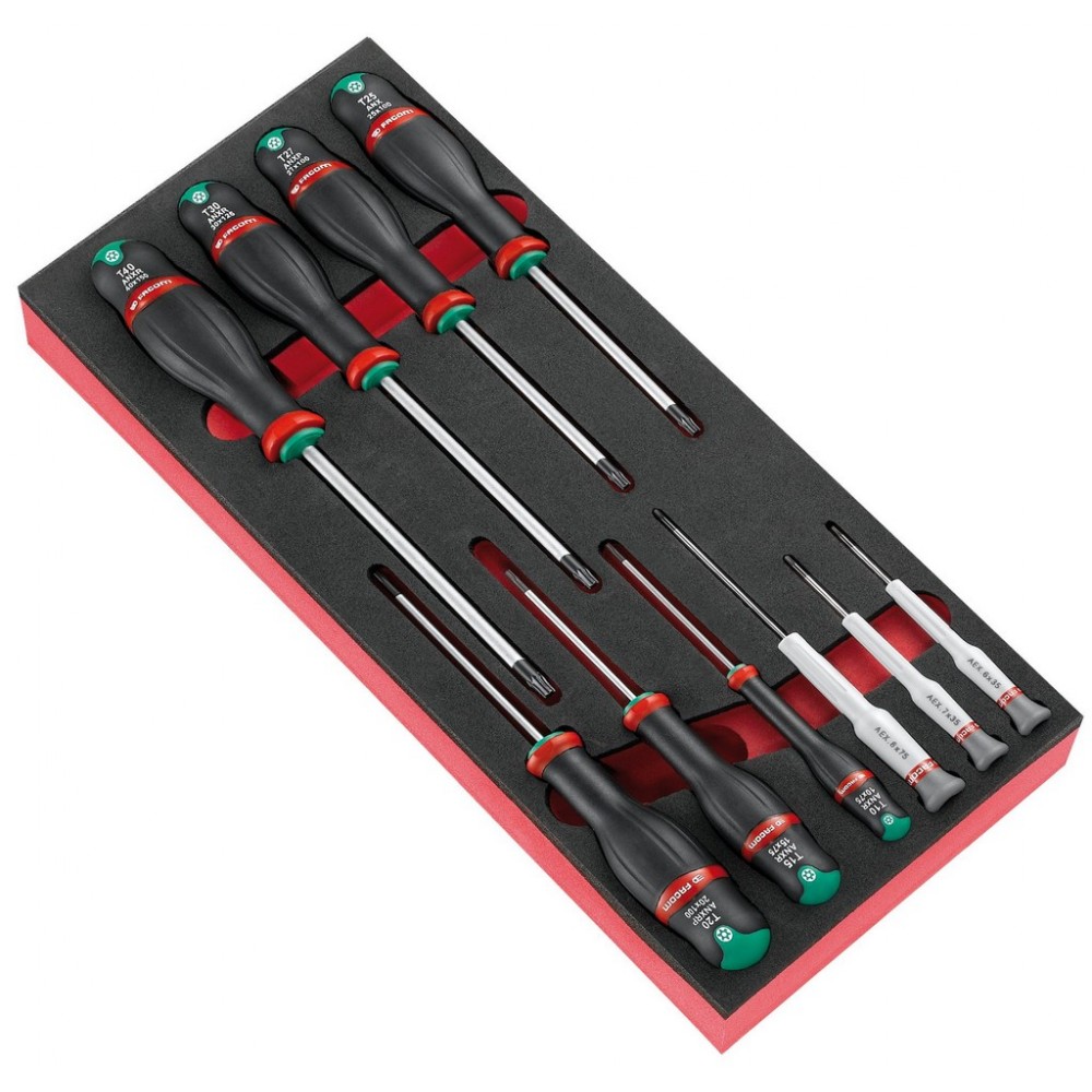 MODULE PROTWIST TORX