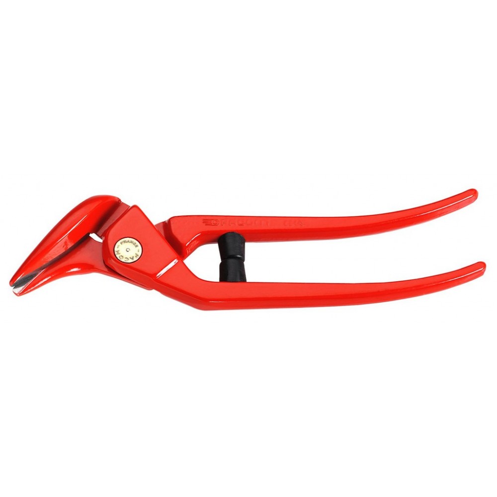 CISAILLE PASSE-FRANC 30CM