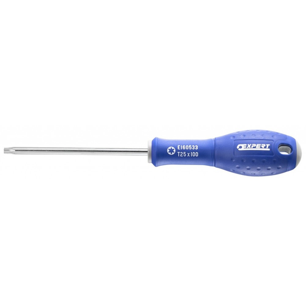 TOURNEVIS PRIMO POUR VIS TORX® T 10