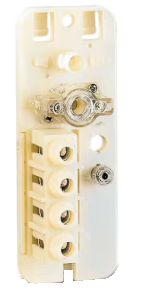 053843512/CONCHIGLIA/NA