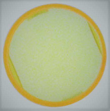 [COAPA0163D] A0163D/APEM/NA