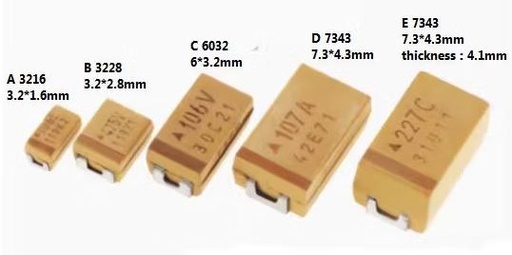 B45196H5106K309/EPCOS/Non RoHS